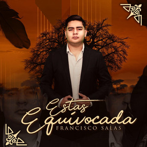 FRANCISCO SALAS: Estas Equivocada
