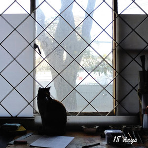 FRANCISCO SILVA TORREALBA: 18 Days