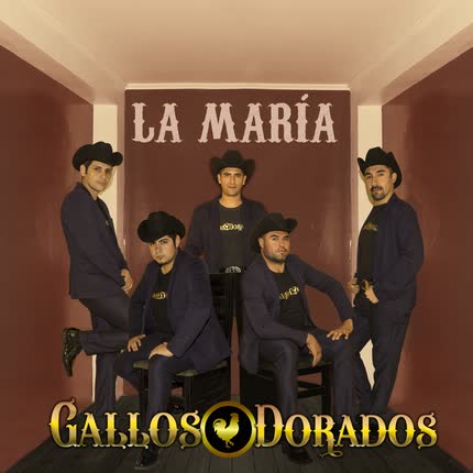 GALLOS DORADOS: La María