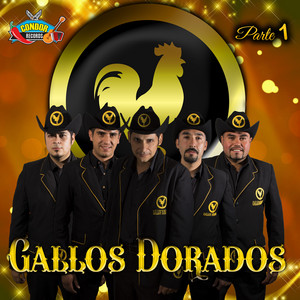 GALLOS DORADOS: Parte 1