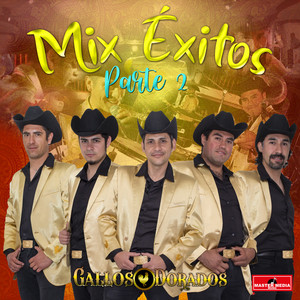 GALLOS DORADOS: Mix Gallos Dorados 2020: Camaron Caramelo / la Maria / Suelta el Freno / Huasito Picon