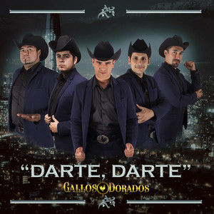 GALLOS DORADOS: Darte Darte