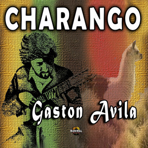 GASTON AVILA: Charango