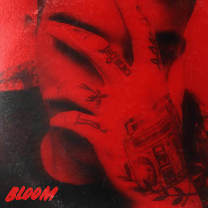 HAIN: Bloom
