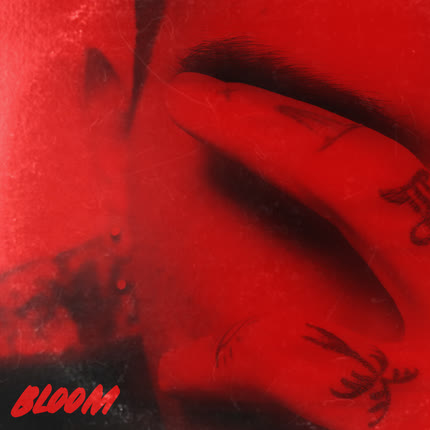 HAIN: Bloom