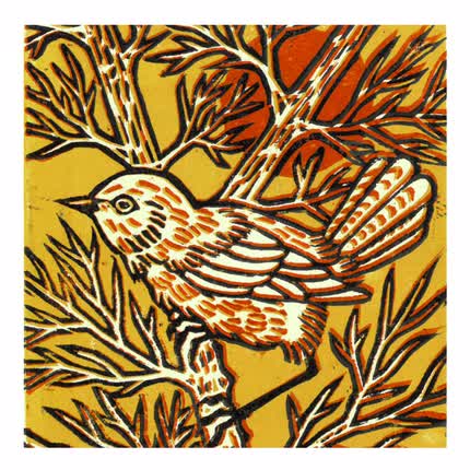 AMAPOLA: Pajarito