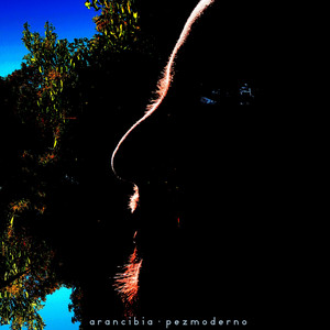 GUILLE ARANCIBIA: Pezmoderno