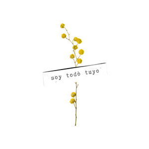 IGNACIO Y DEYA: Soy Todo Tuyo