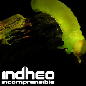 INDHEO: Incomprensible