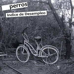 INDICE DE DESEMPLEO: Perros