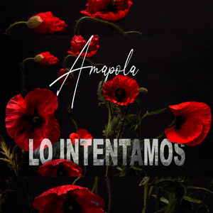 AMAPOLA: Lo Intentamos