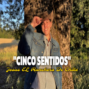 JESUS EL RANCHERO DE CHILE: Cinco sentidos
