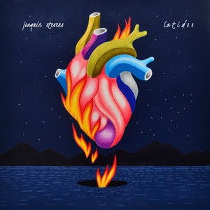 JOAQUIN STEVENS: Latidos