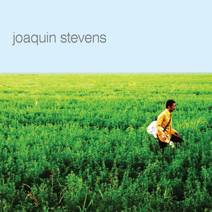 JOAQUIN STEVENS: Vuelos Pasajeros