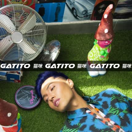 JONAH XIAO: Gatito