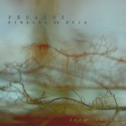 JORGE COCIO: Pedazos Finales de Hoja 