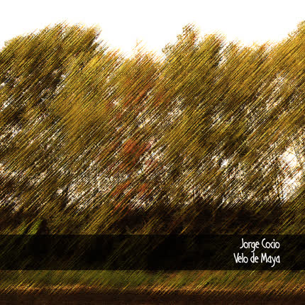 JORGE COCIO: Velo de maya