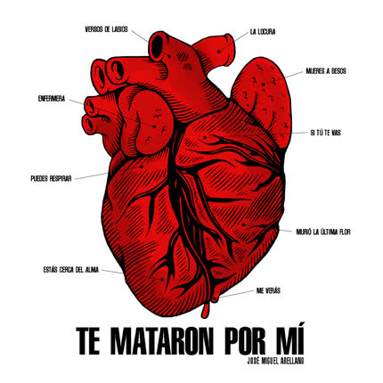 JOSE MIGUEL ARELLANO: te mataron por mí