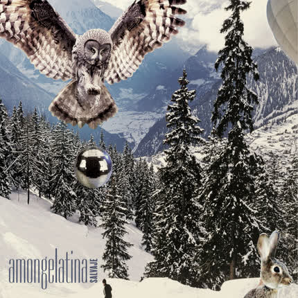 AMONGELATINA: Salvaje