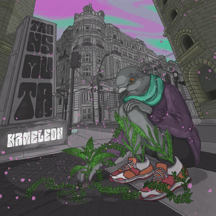 KAMELEON: Transmuta
