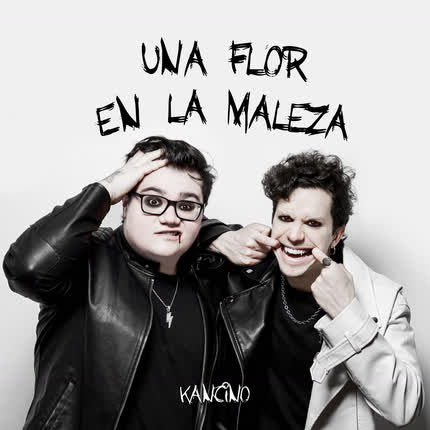 KANCINO: Flor en la Maleza
