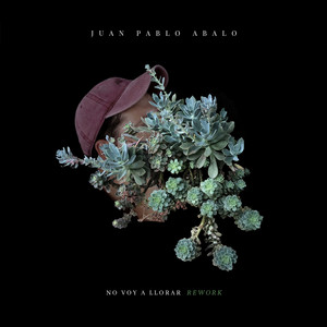 JUAN PABLO ABALO: No voy a llorar (Rework)