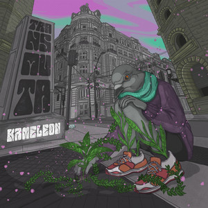 KAMELEON: Transmuta