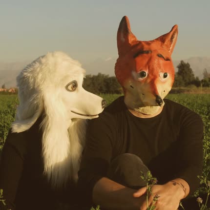 KETTERER: Perros Callejeros