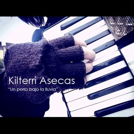 KILTERRI ASECAS: Un Perro Bajo la Lluvia