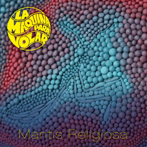 LA MAQUINA PARA VOLAR: Mantis Religiosa