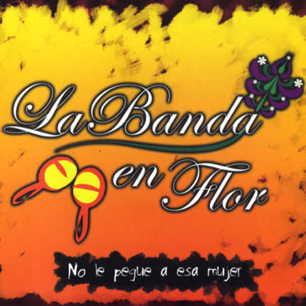 LABANDA EN FLOR: No le pegue a esa mujer