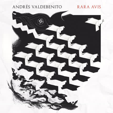 ANDRES VALDEBENITO: Rara Avis
