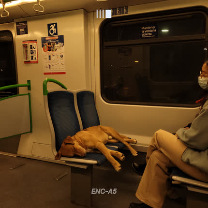 LEVEDAD: Verte