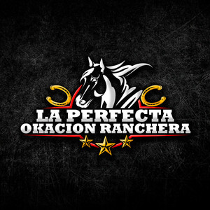 LA PERFECTA OKACION RANCHERA: Como olvidar / Sufriendo por tu amor / Amiga de cantina (Medley)