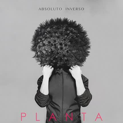 ABSOLUTO INVERSO: Planta