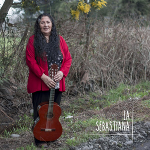 LA SEBASTIANA: Camino por la Vida