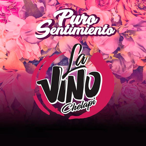 LA VINOCHELAPI: Puro Sentimiento