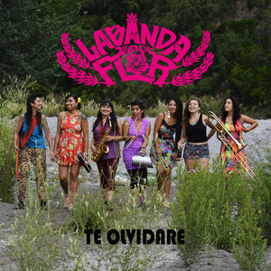 LABANDA EN FLOR: Te Olvidaré