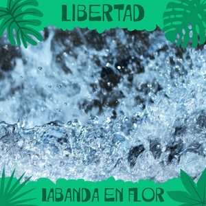 LABANDA EN FLOR: Libertad