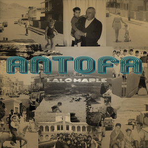 LALO MAPLE: Antofa