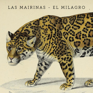 LAS MAIRINAS: El Milagro