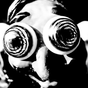 A/DOMICILIO: Weird Fishes/Arpeggi