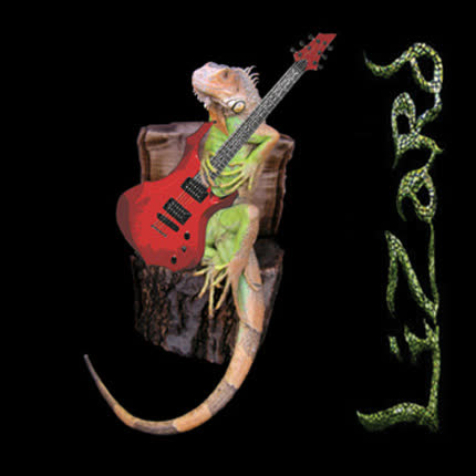 LIZARD: Lizard