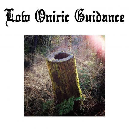 LOG: Low Oniric Guidance