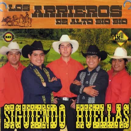 LOS ARRIEROS DE ALTO BIO BIO: Siguiendo Huellas