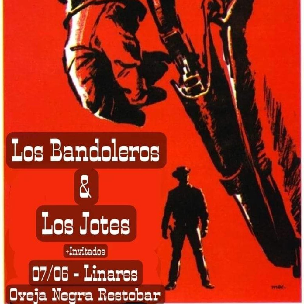 LOS BANDOLEROS: cover