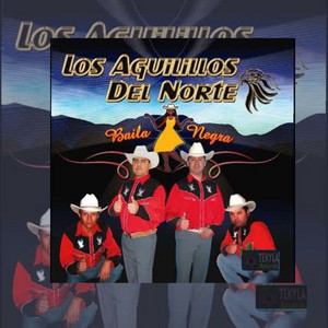 LOS AGUILILLOS DEL NORTE: Baila Negra