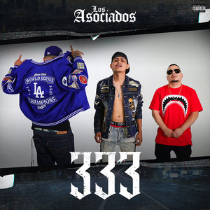 LOS ASOCIADOS: 333