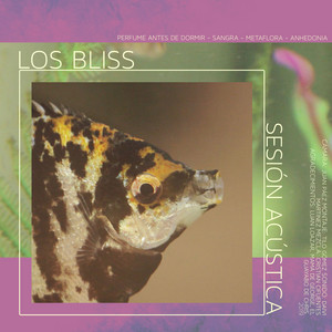 LOS BLISS: Fin (Acústico)