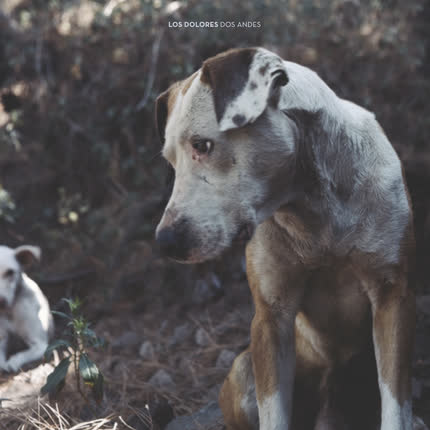 LOS DOLORES: Dos Andes